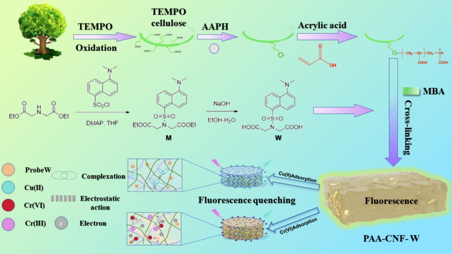 Download: Download high-res image (118KB)