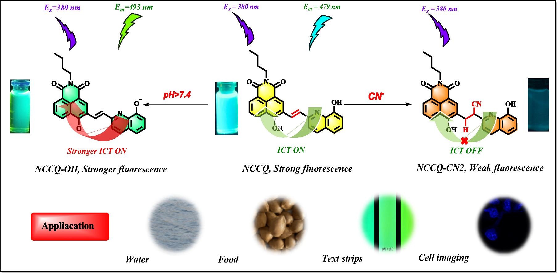 Download: Download high-res image (182KB)