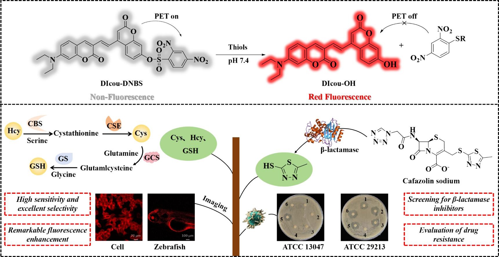 Download: Download high-res image (226KB)