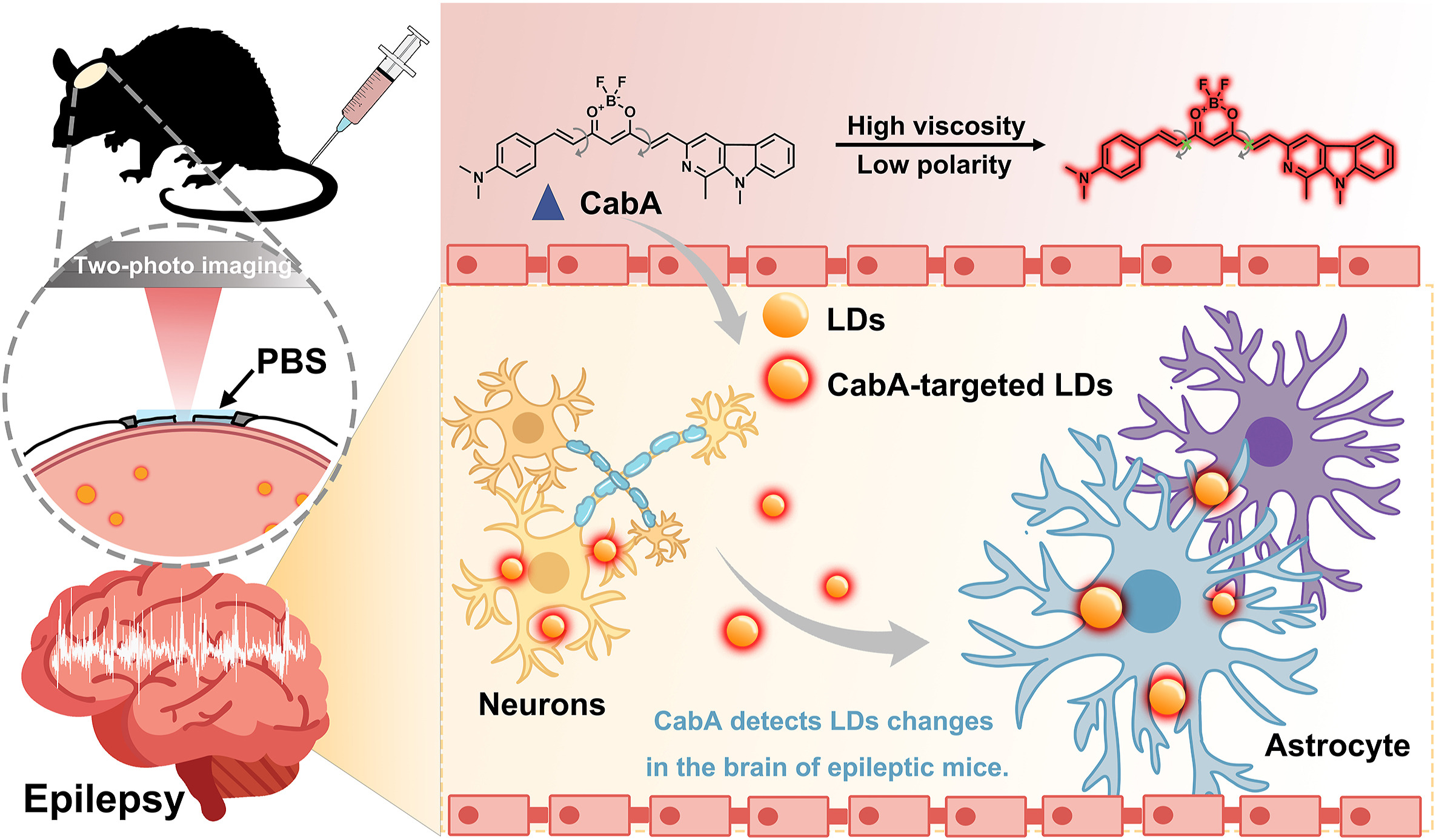 Download: Download high-res image (672KB