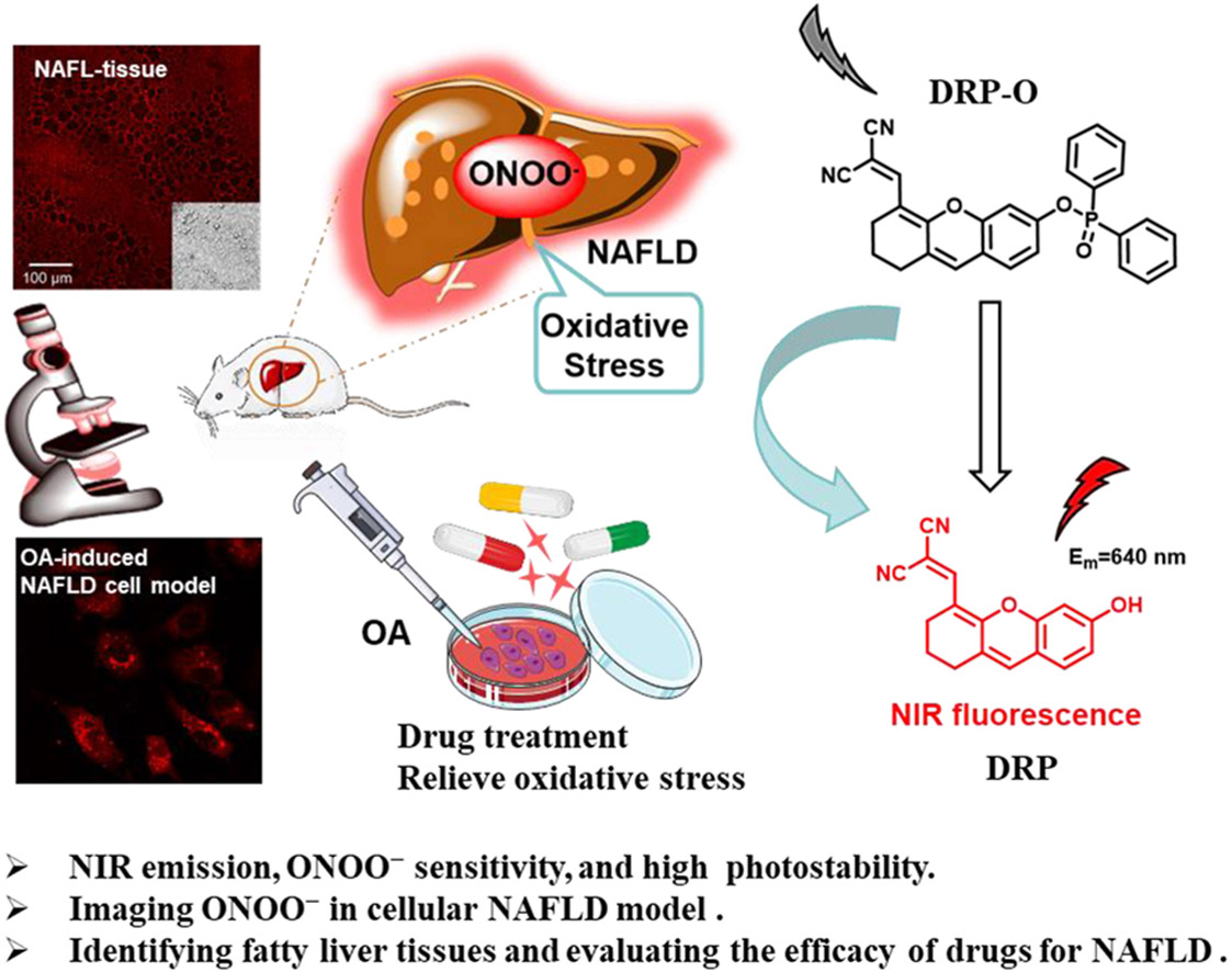 Download: Download high-res image (270KB