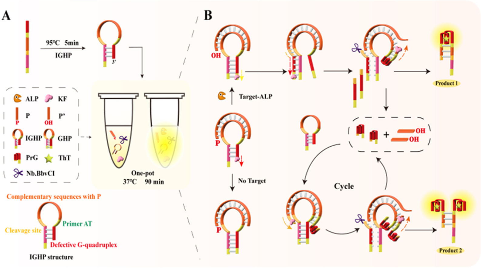 Download: Download high-res image (264KB)