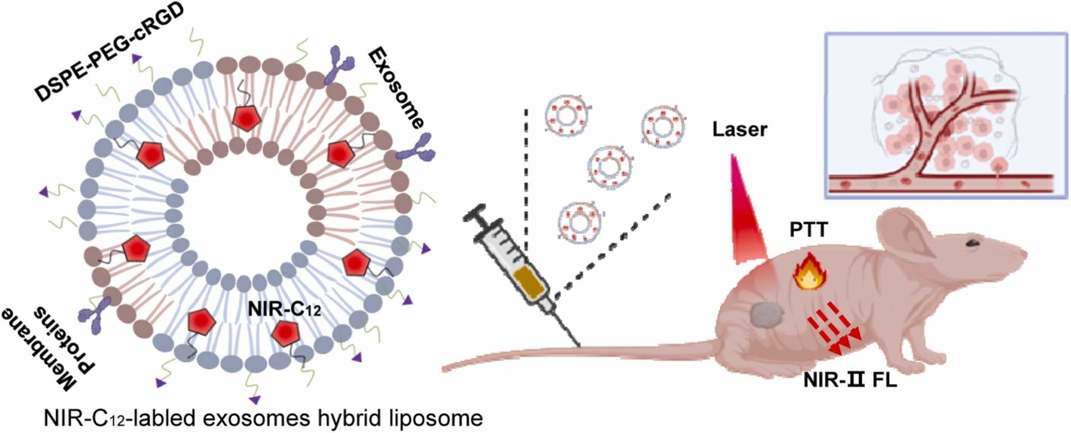 Download: Download high-res image (220KB)