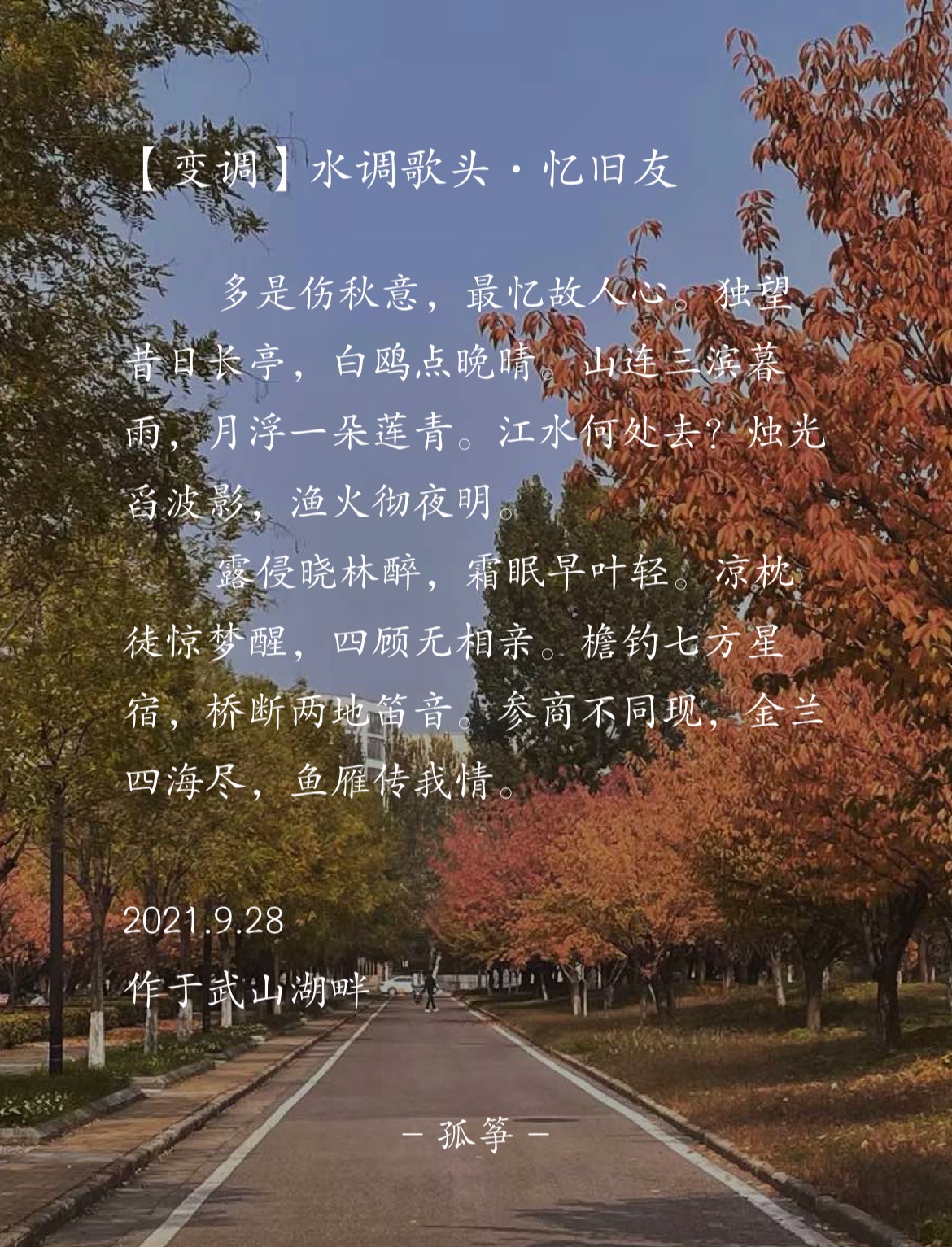 【变调】水调歌头•忆旧友