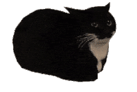 HEAT Labs Logo