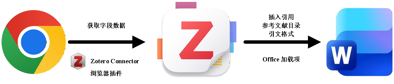 204.office zotero使用教程-1