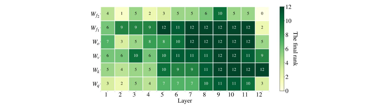 AdaLoRA 最终秩分配结果示意图