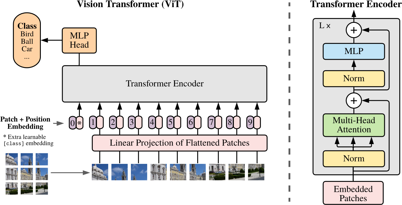 ViT 架构概览