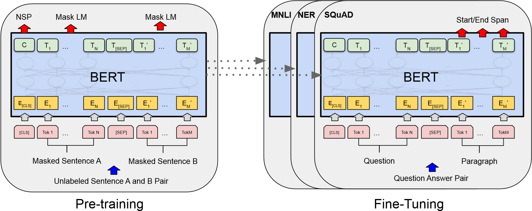 BERT 的预训练与微调流程