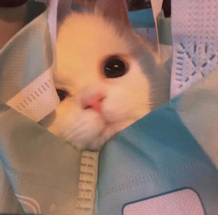 PAT-甲级-1088-to-1091