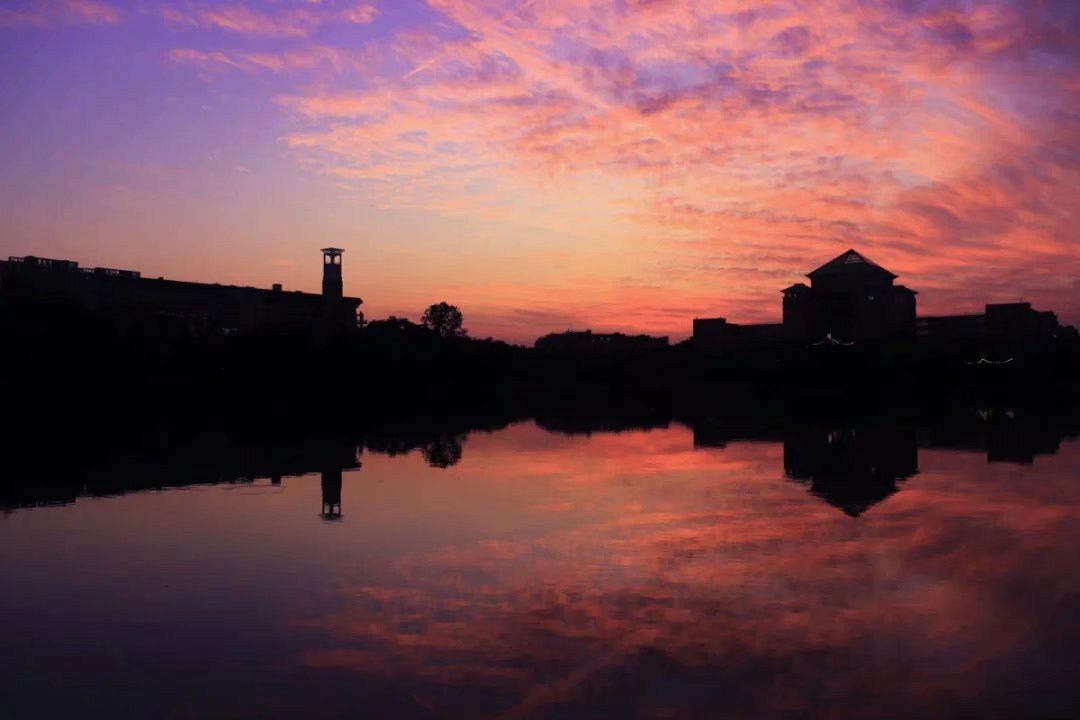 Barn Painting(树形dp)