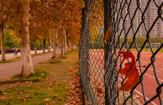 1492E - Almost Fault-Tolerant Database(暴力&特判)