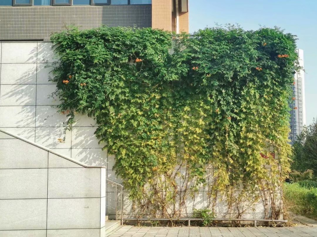 关于blog的图片的保存