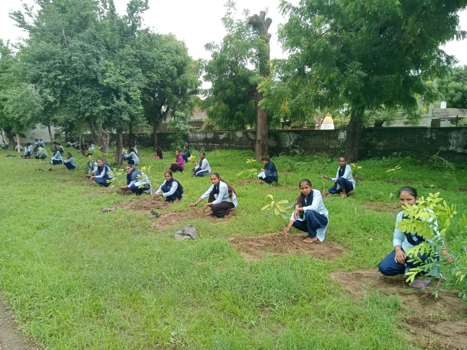 Dalvada Plantation Drive — volunteers planting saplings