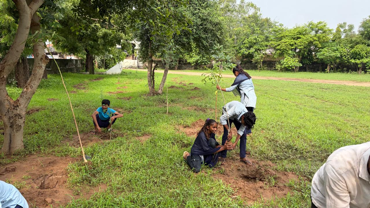 Dalvada Plantation Drive — plantation ground celebration