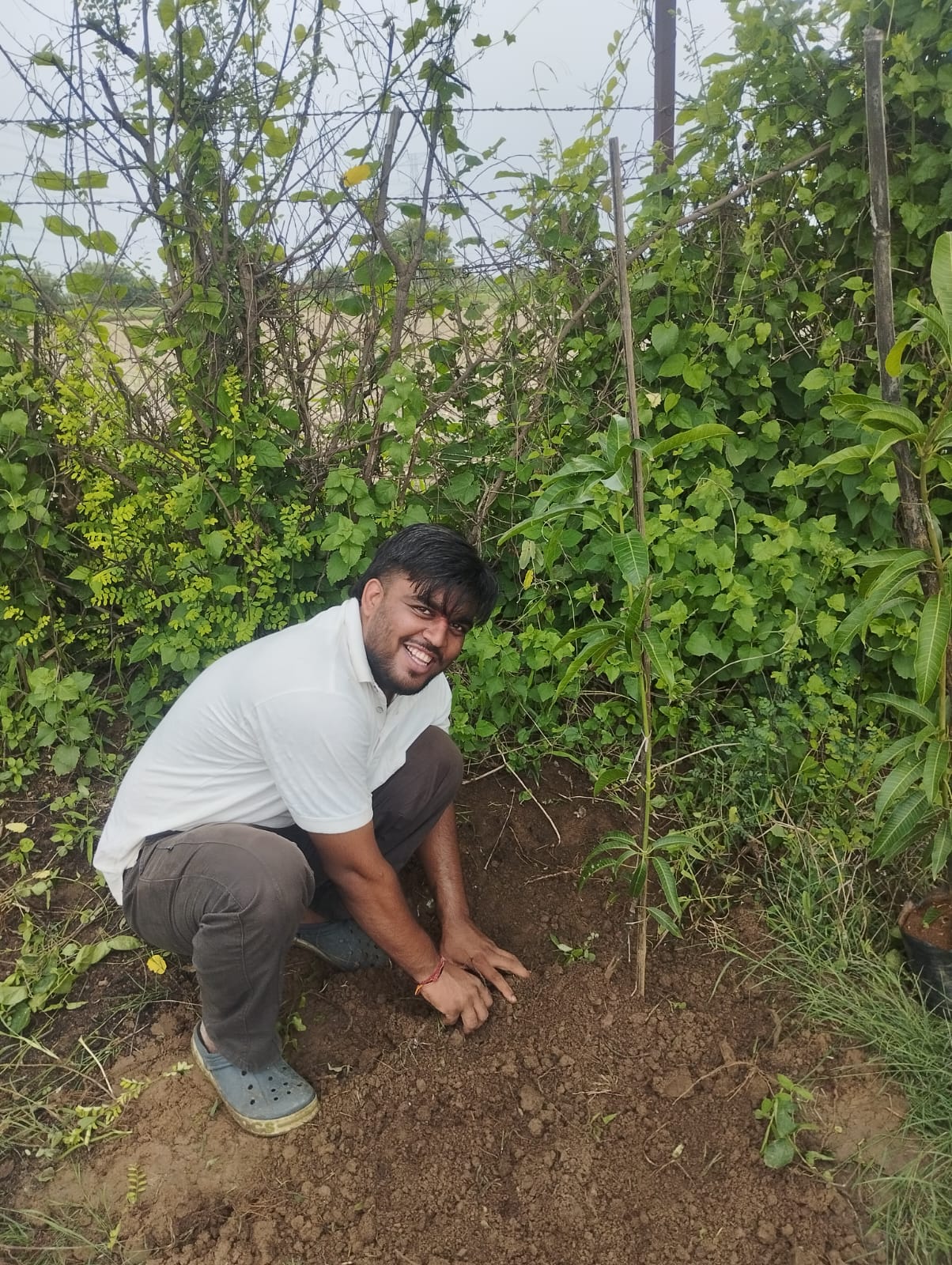 Dalvada Plantation Drive — school premises greening
