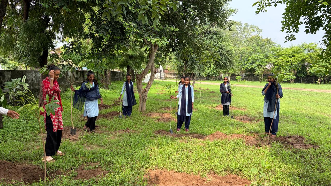 Dalvada Plantation Drive — soil preparation and planting
