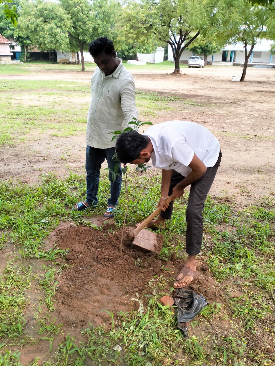 Dalvada Plantation Drive — watering fresh saplings