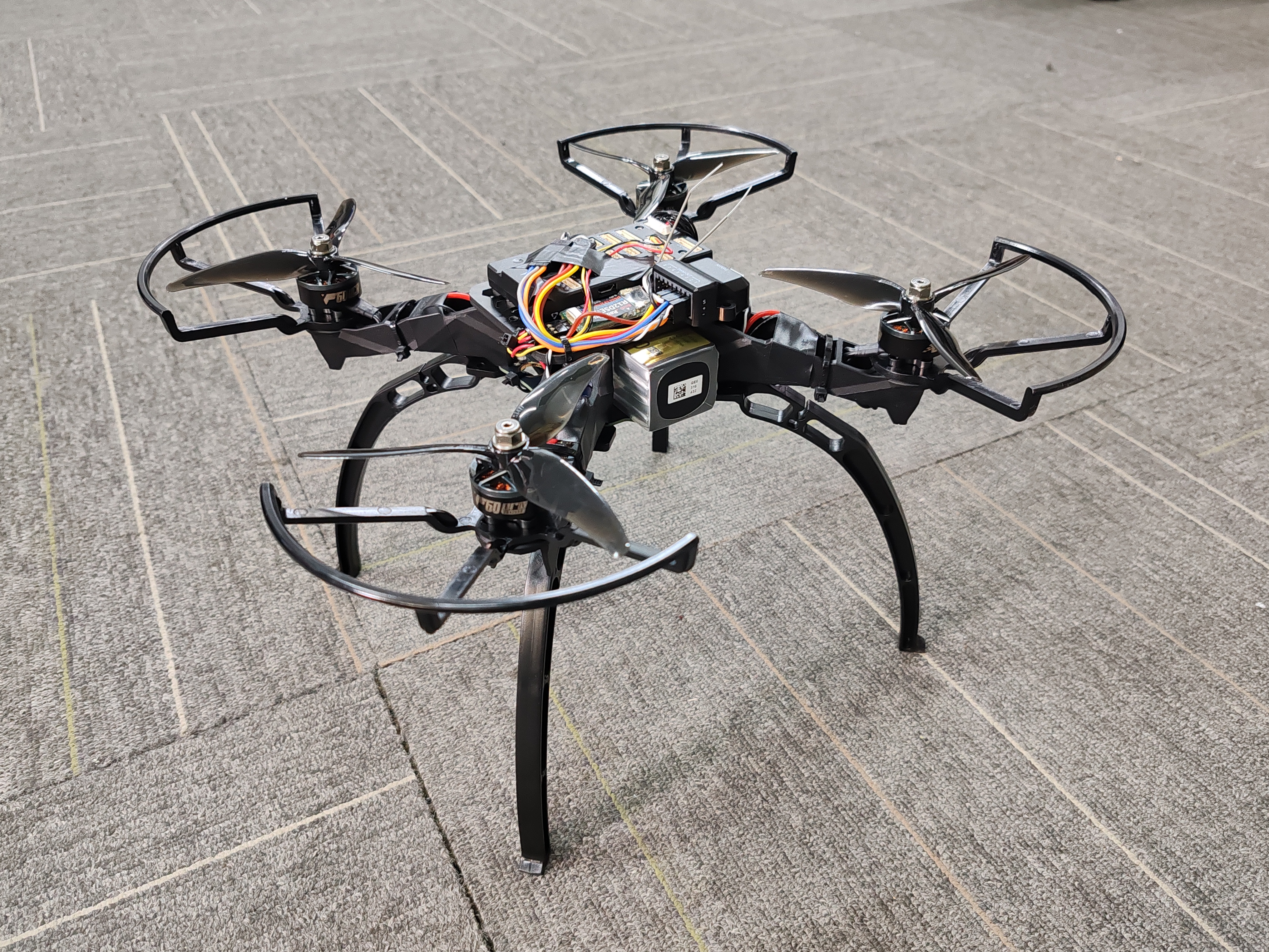 花了一个下午攒出来的小苍蝇