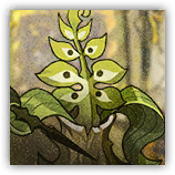 Patrolling Foliage image