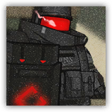 Heavy Defender Lieutenant image