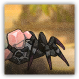 Mutant Rock Spider image