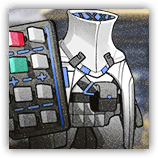 Delegation Shieldbearer Captain image