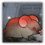 Hard-Snouted Fieldmus image