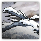 Silvernwhite Bulwark image