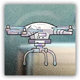 Diamond Flightwing image