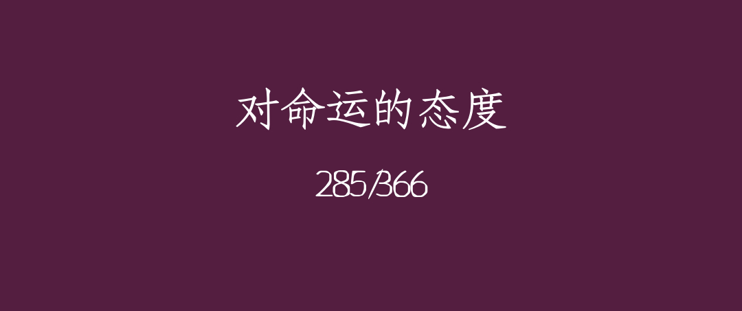 吼呆时刻285-对命运和事态发展的态度