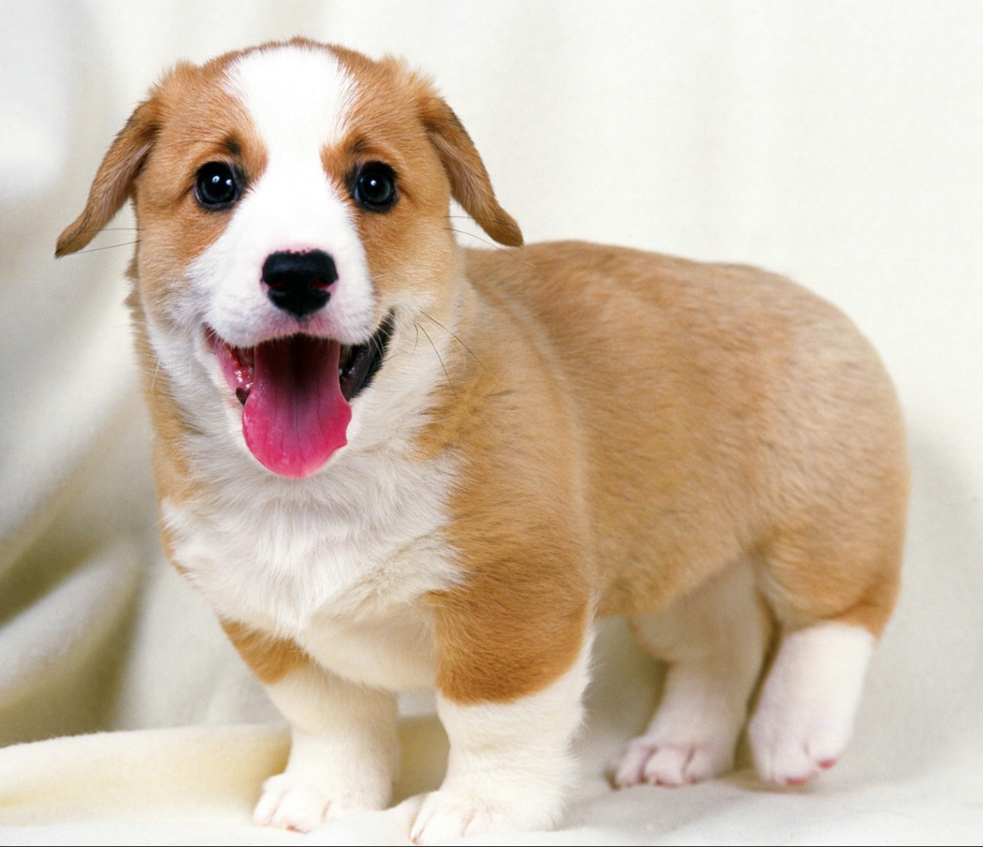 image-20250717103153251