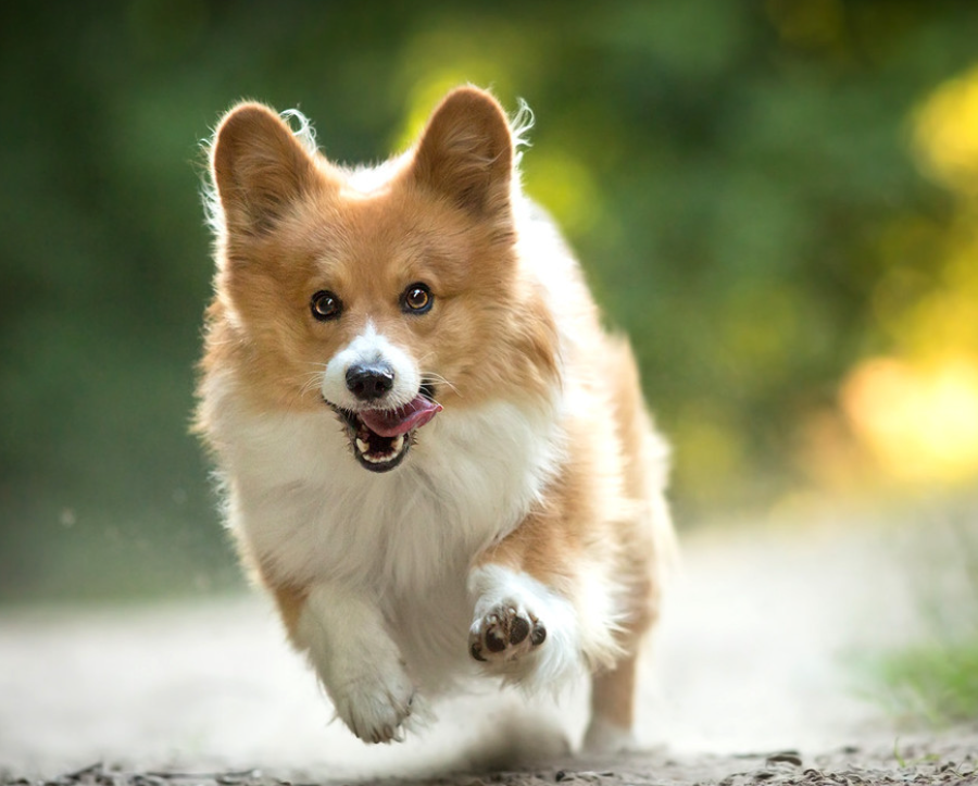 image-20250319161253468