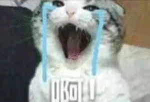 alt 属性文本
