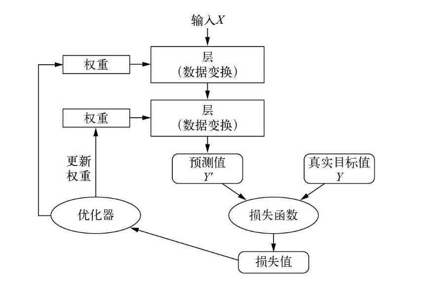 神经网络、层、损失函数与优化器之间的关系