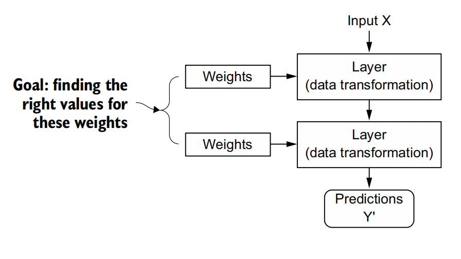  A neural network is parameterized by its weights.