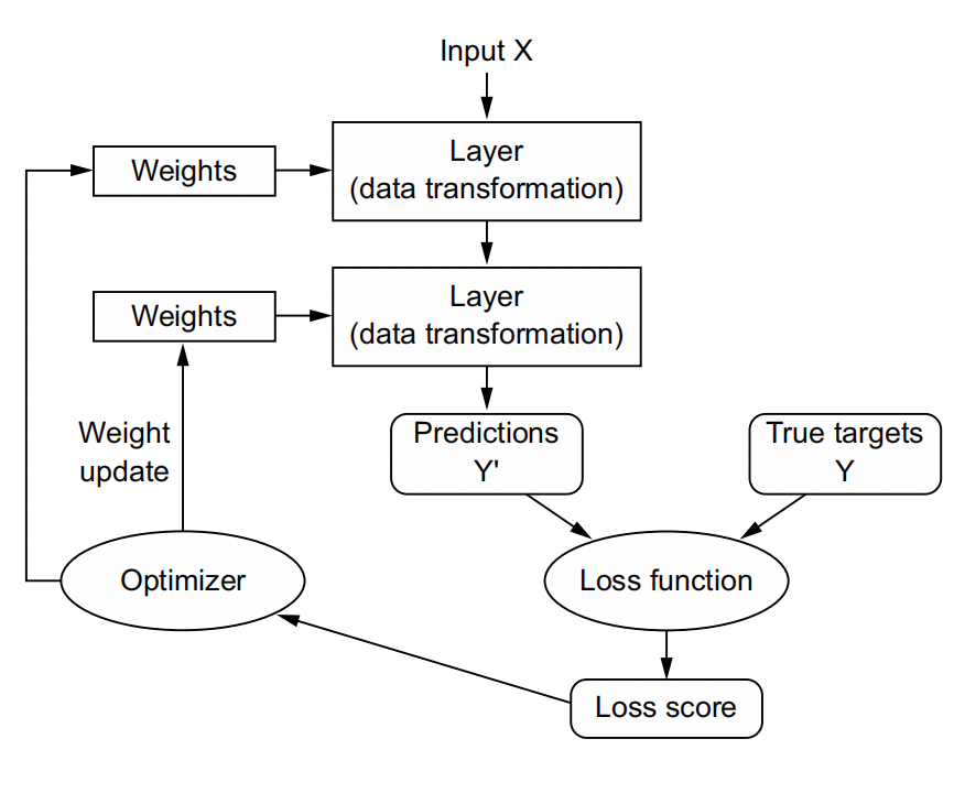 The loss score is used as a feedback signal to adjust the weights.