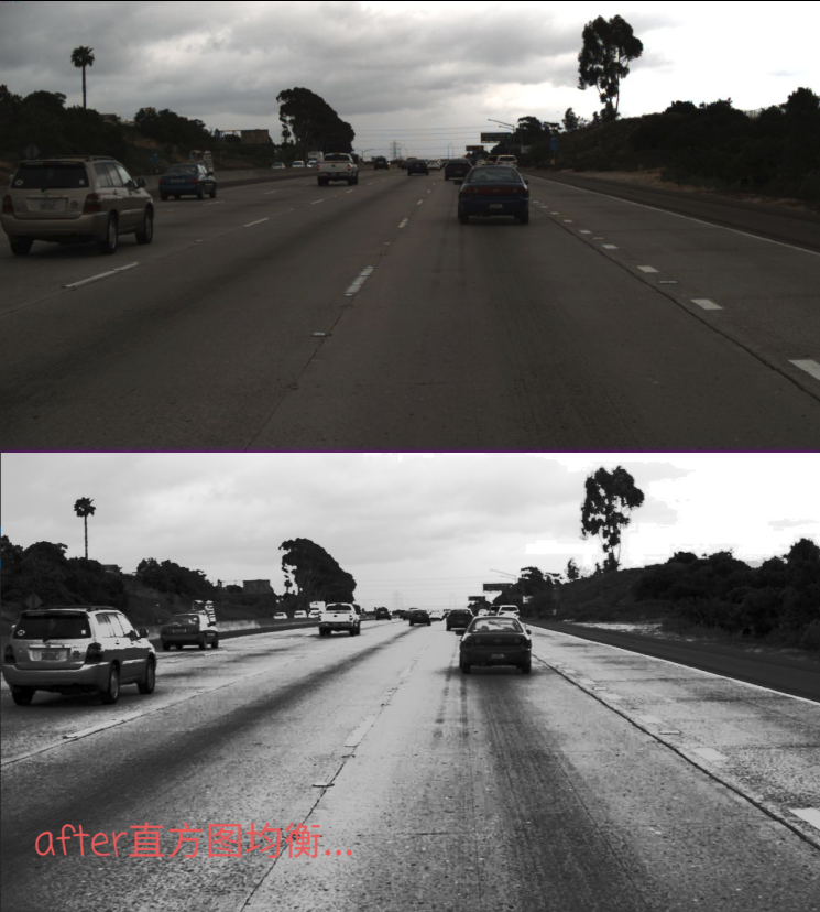 image-20210210215604450