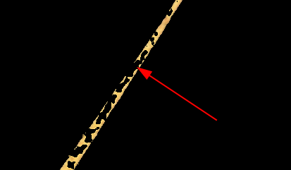 image-20210210224635105