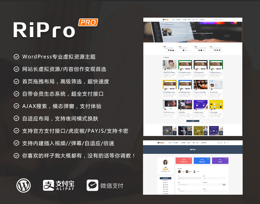 【WordPress】RiPro6.6.0去授权破解版修复去后门-童家小站