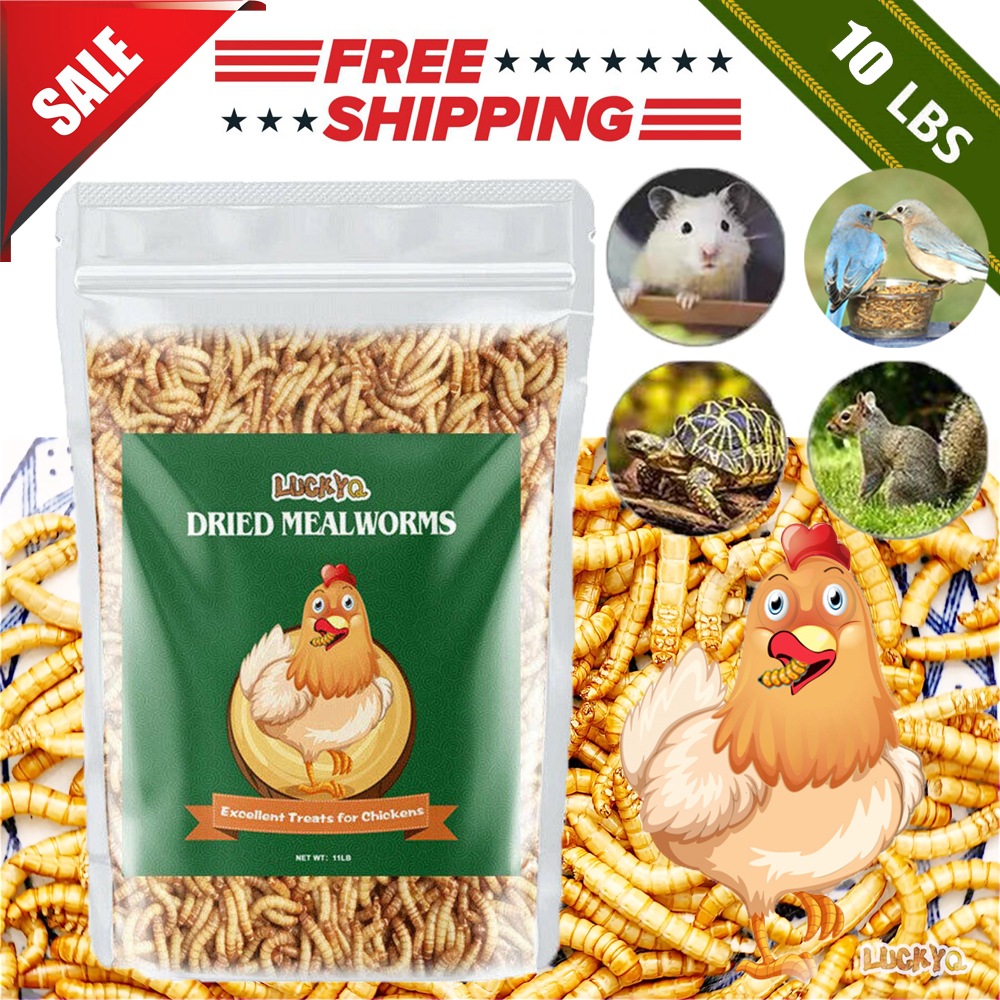 Dried Mealworms Bulk 10 LBS for chickens Birds Bluebirds Hamsters Hen
