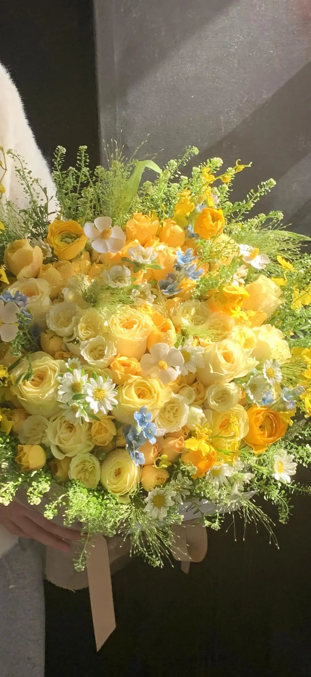 阳光下的花束 - 风景 / 花卉 - 花卉 玫瑰 阳光 高清壁纸