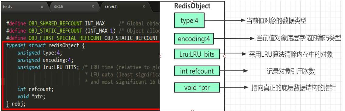 image-20231203004546617