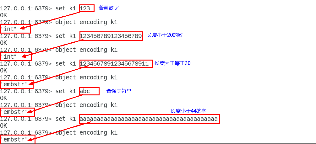 image-20231203005619772