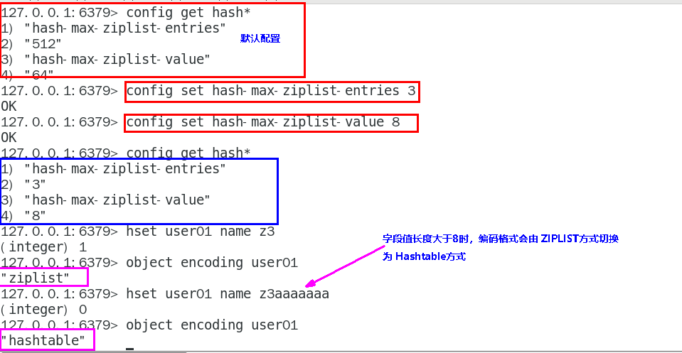 image-20231203051519161