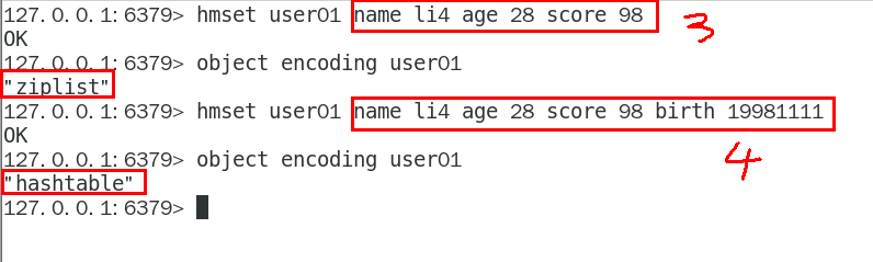 image-20231203051641335