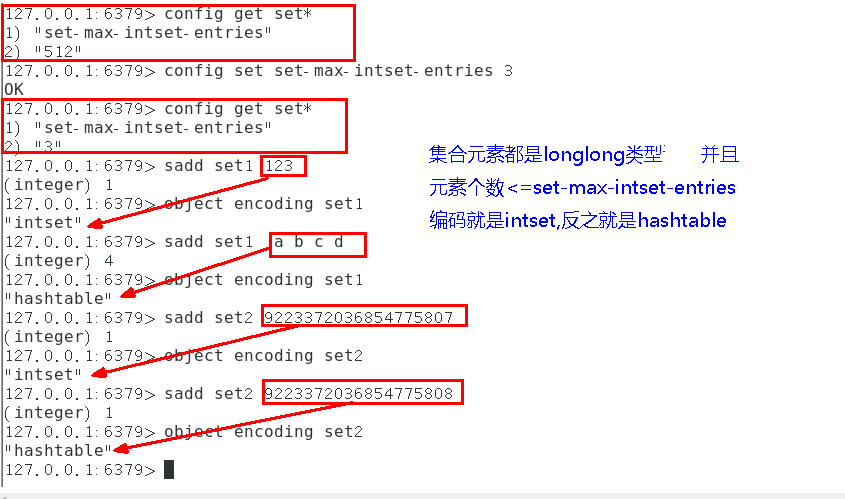 image-20231203055600884