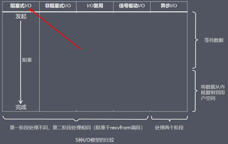 image-20231203064108802