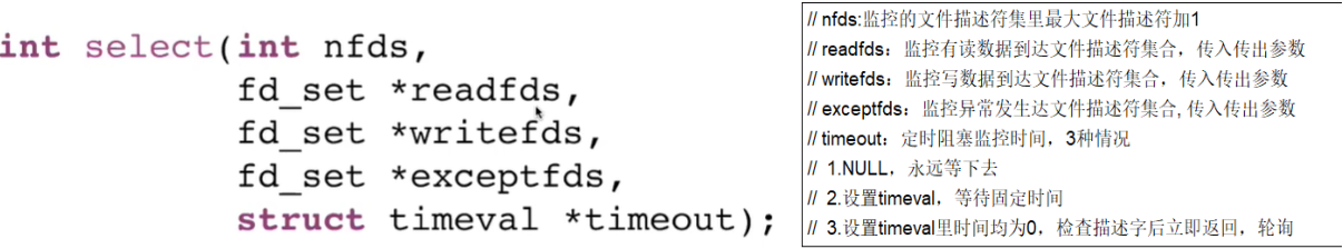 image-20231203065045945