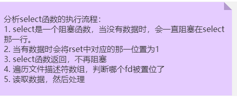 image-20231203065135443